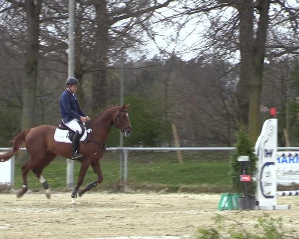 Reitturnier Coesfeld-Lette 2021