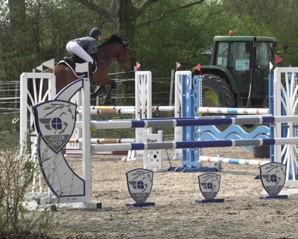 Reitturnier Lampertheim 2021