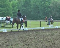 dressage horse Luna Rossa 3 (Hanoverian, 2007, from Londonderry)