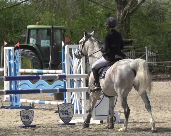 Reitturnier Lampertheim 2021