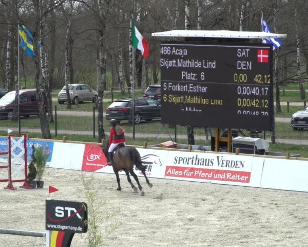 FEI Reitturnier Westergellersen (GER) 2021