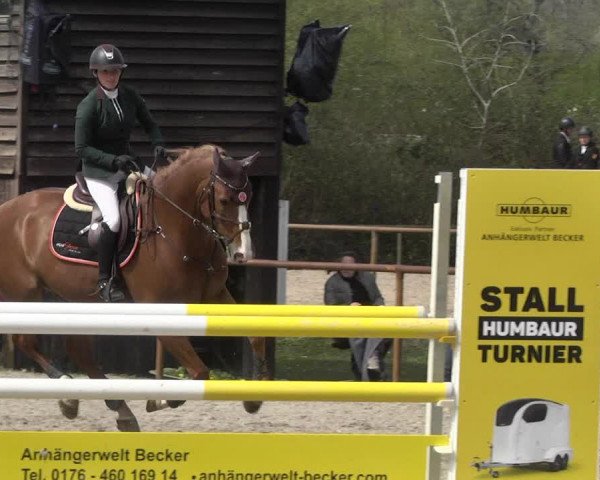 Reitturnier Lampertheim 2021