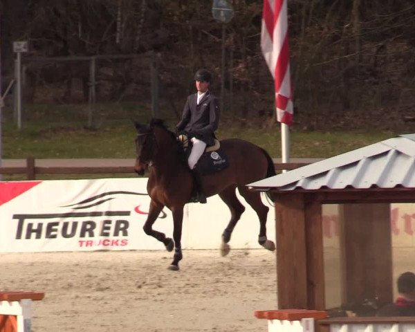 FEI Reitturnier Westergellersen (GER) 2021