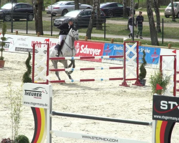 FEI Reitturnier Westergellersen (GER) 2021