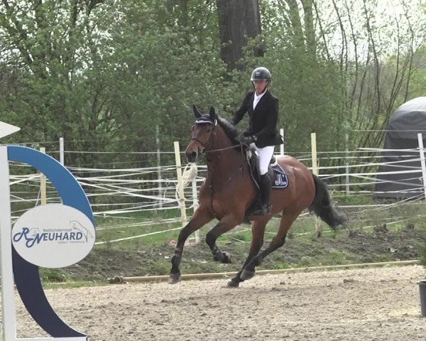 Reitturnier Lampertheim 2021