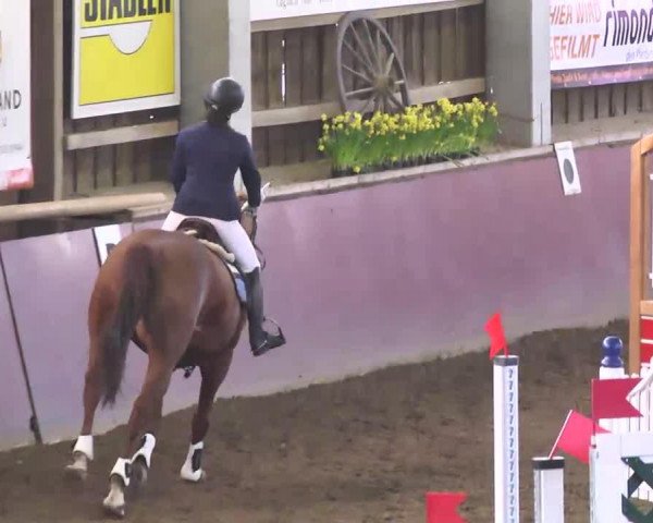 jumper Ria Royal (unknown, 2004)