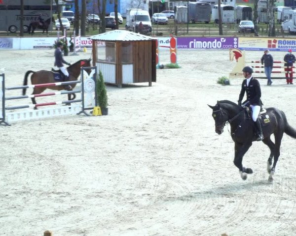 FEI Reitturnier Westergellersen (GER) 2021