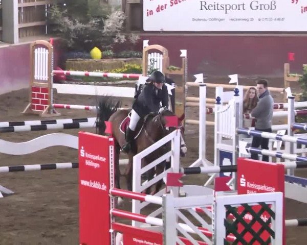 broodmare Urielle 5 (Holsteiner, 2004, from Askari)