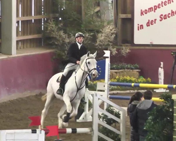 jumper Shania 13 (Württemberger, 2003, from Sterntänzer)
