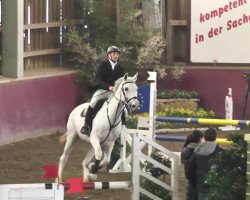 jumper Shania 13 (Württemberger, 2003, from Sterntänzer)