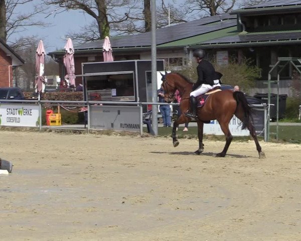 Reitturnier Coesfeld-Lette 2021