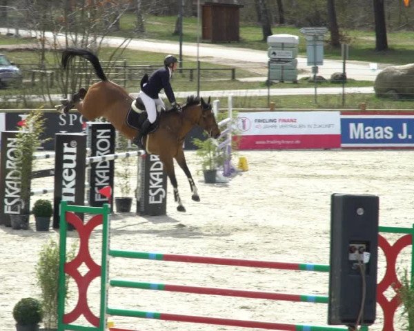 FEI Reitturnier Westergellersen (GER) 2021