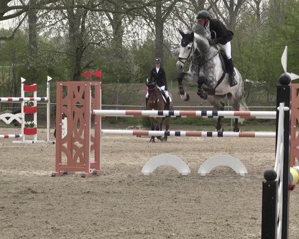 Reitturnier Lampertheim 2021