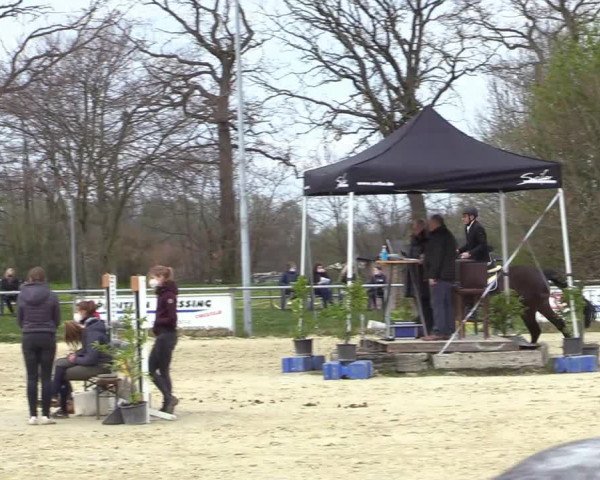 Reitturnier Coesfeld-Lette 2021