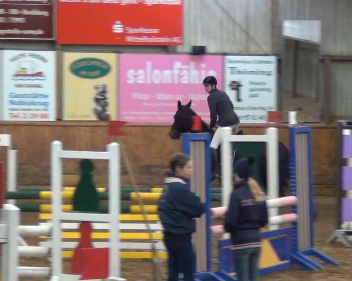Springpferd Siska 20 (Friesen-Mix, 2003)