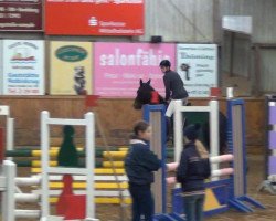 jumper Siska 20 (Friesian-Mix, 2003)