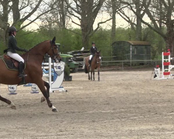 Reitturnier Lampertheim 2021