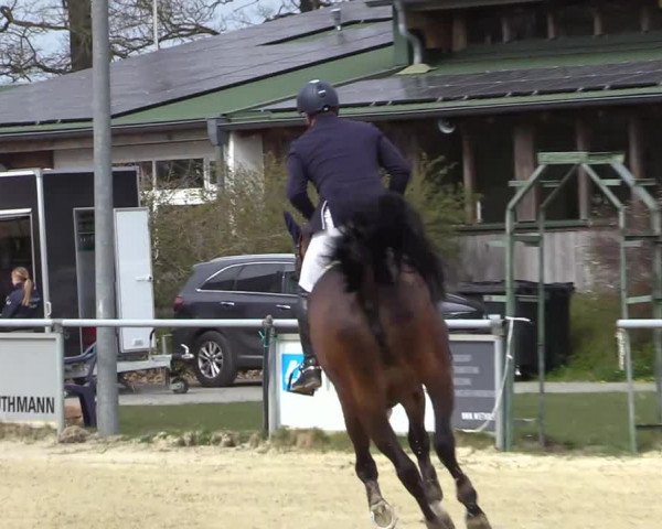 Reitturnier Coesfeld-Lette 2021