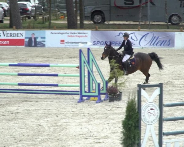 FEI Reitturnier Westergellersen (GER) 2021