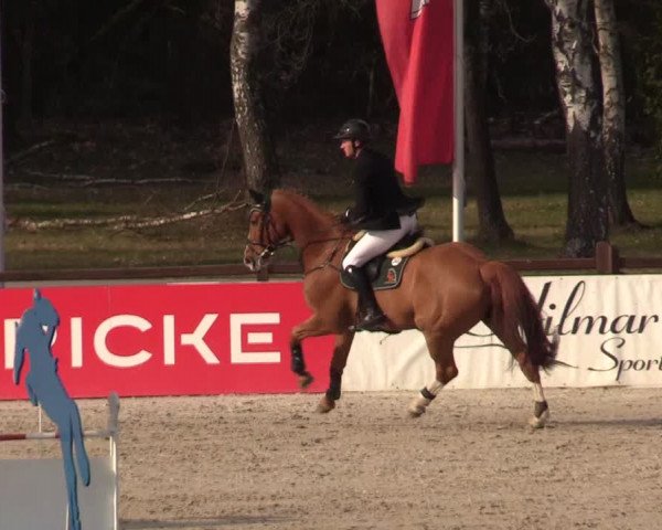 FEI Reitturnier Westergellersen (GER) 2021