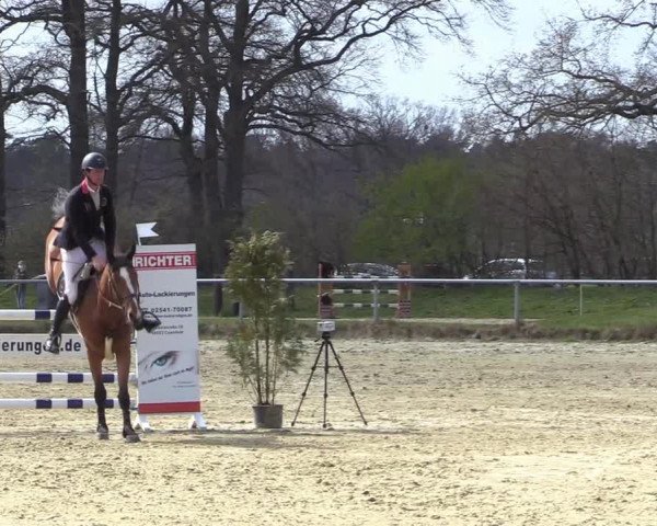 Reitturnier Coesfeld-Lette 2021