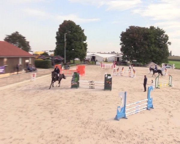 Springreitturnier Hohburg 2021
