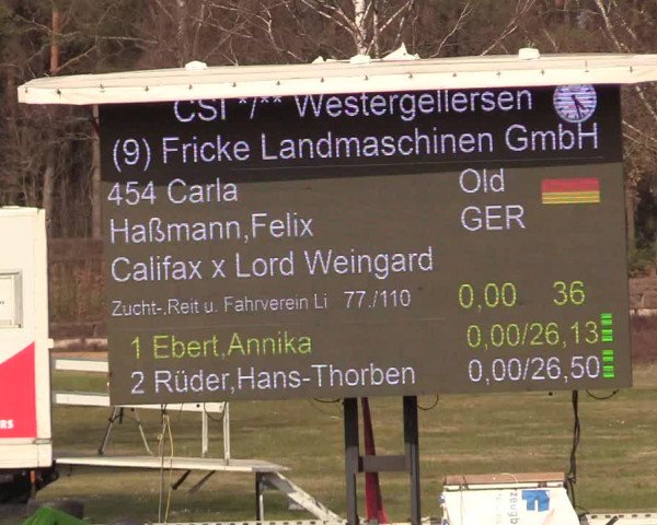 FEI Reitturnier Westergellersen (GER) 2021