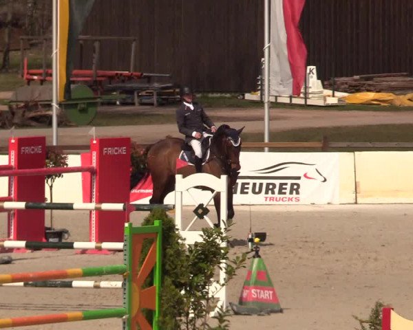 FEI Reitturnier Westergellersen (GER) 2021