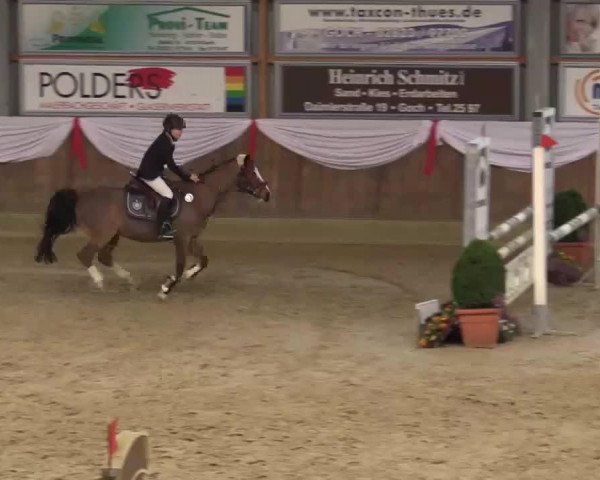jumper Max 1358 (German Riding Pony, 1995)