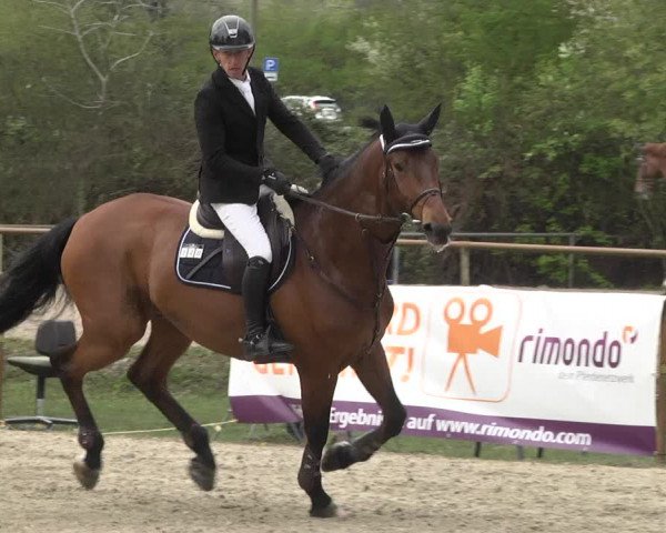 Reitturnier Lampertheim 2021