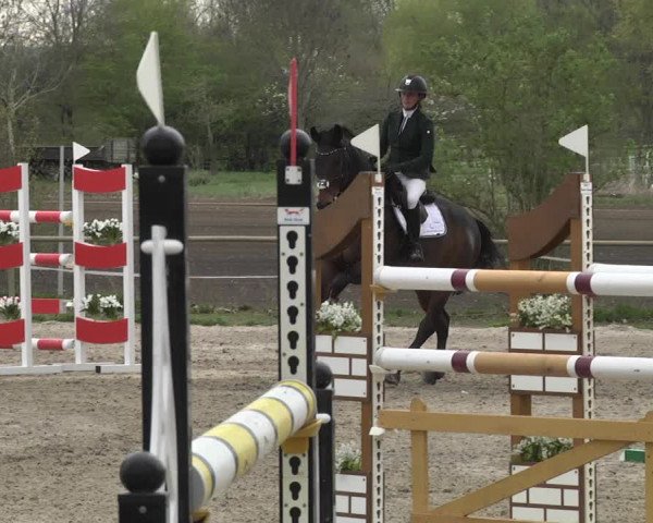 Reitturnier Lampertheim 2021