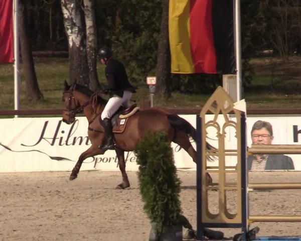 FEI Reitturnier Westergellersen (GER) 2021