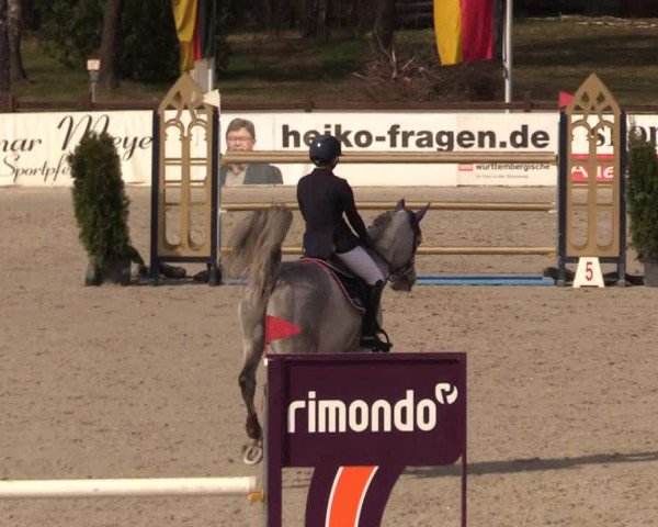 FEI Reitturnier Westergellersen (GER) 2021