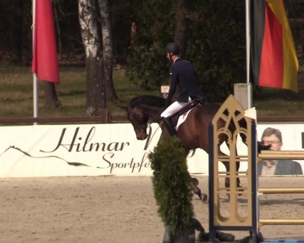 FEI Reitturnier Westergellersen (GER) 2021