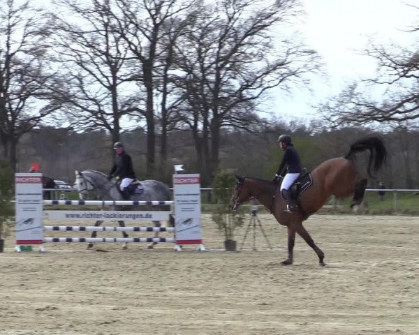 Reitturnier Coesfeld-Lette 2021