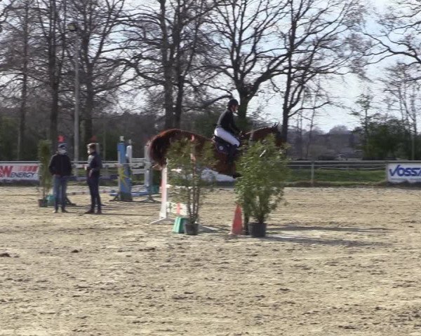 Reitturnier Coesfeld-Lette 2021