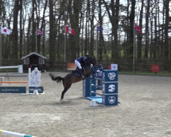 Reitturnier Klein Roscharden 2021