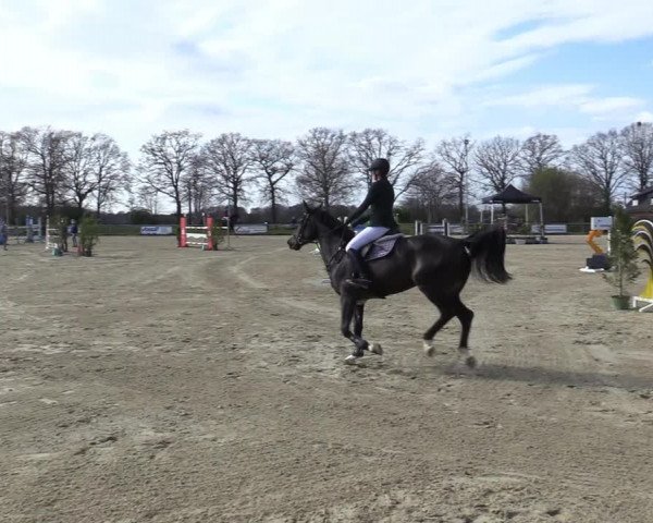 Reitturnier Coesfeld-Lette 2021