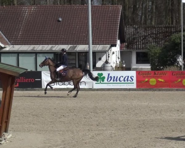 Reitturnier Klein Roscharden 2021