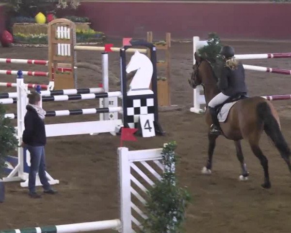 jumper Lancer 102 (Westphalian, 2003, from Larenco)