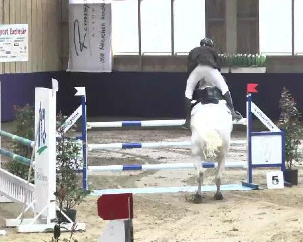 jumper Kaja 23 (Saxony-Anhaltiner, 1999, from Kolibri 2705)