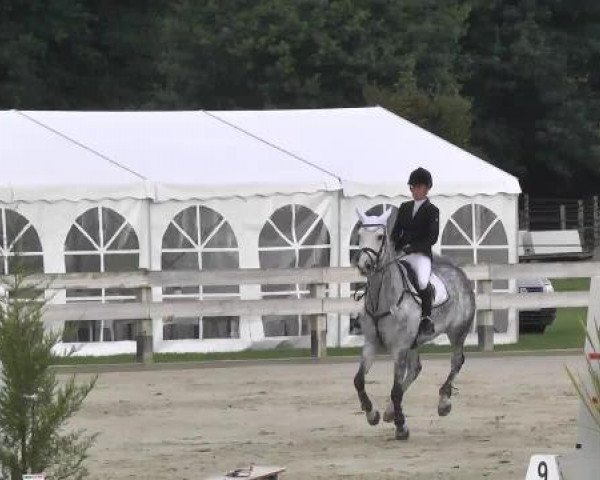 broodmare Walentina (Holsteiner, 2006, from Calato) broodmare Walentina (Holsteiner, 2006, from Calato)