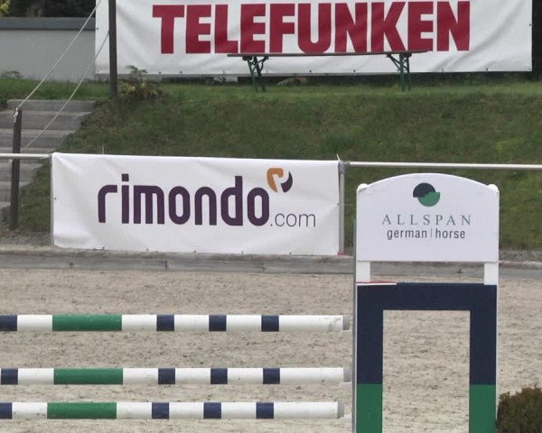 Reitturnier Durmersheim-Hardt 2021