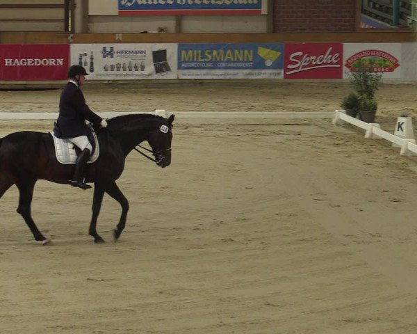 Steinhagen Classics 2021