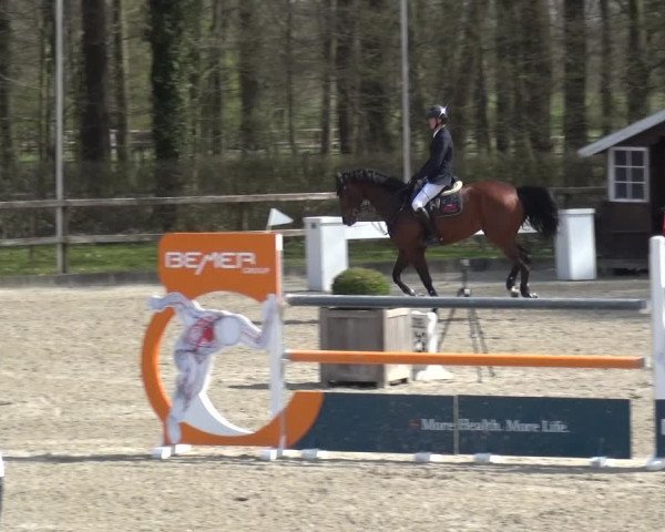 Reitturnier Klein Roscharden 2021