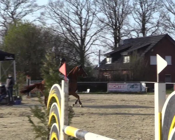 Reitturnier Coesfeld-Lette 2021