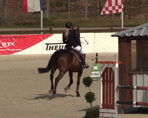 FEI Reitturnier Westergellersen (GER) 2021