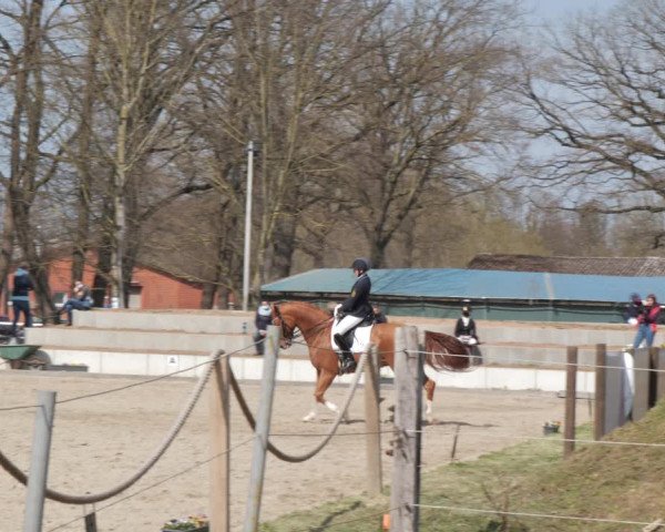 Reitturnier Handorf 2021