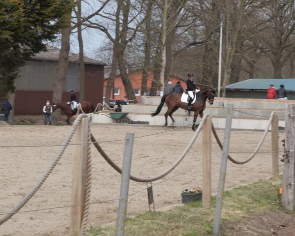 Reitturnier Handorf 2021