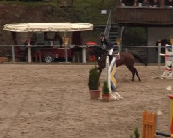 broodmare Mata Hari (Oldenburg, 2001, from Contender)